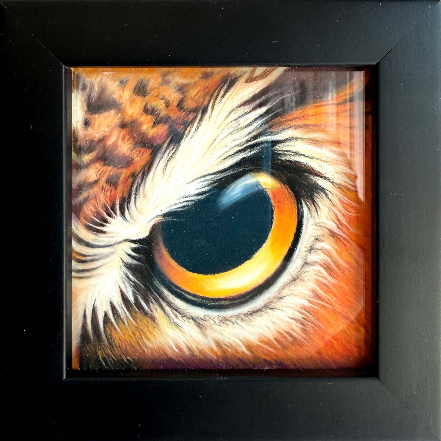 Original Pastel Painting of Owl Eye